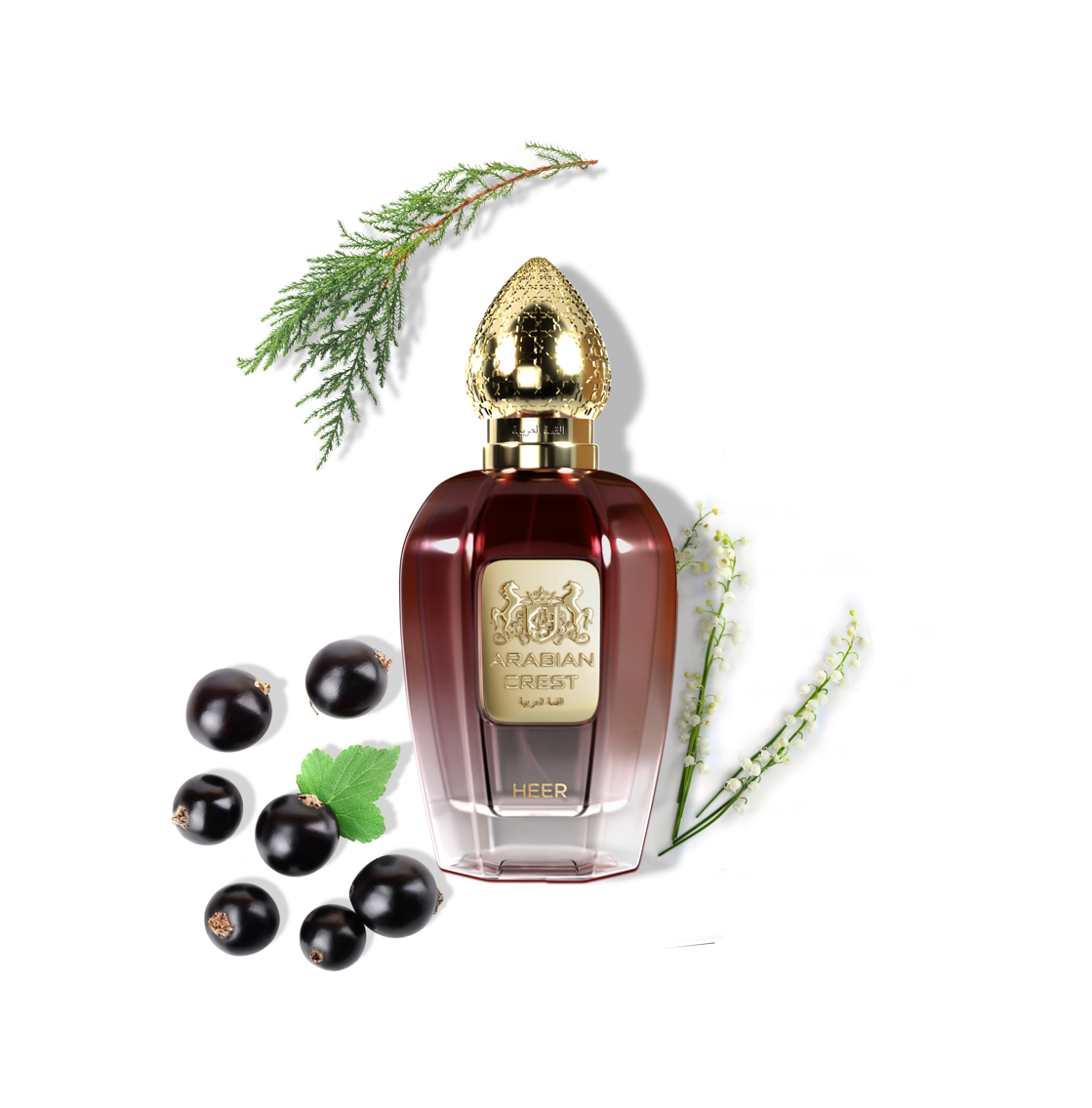 Arabian Crest Dubai Eau de Parfum Heer Flasche mit eleganter Verpackung, orientalischer Duft für Männer und Frauen