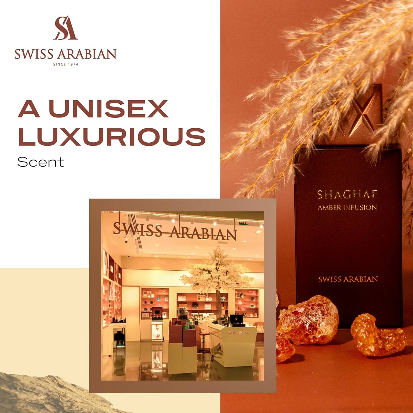 SWISS ARABIAN - Swiss Arabian Shaghaf Amber Infusion EDP for Unisex 75ml - Fragrance On A Barrel